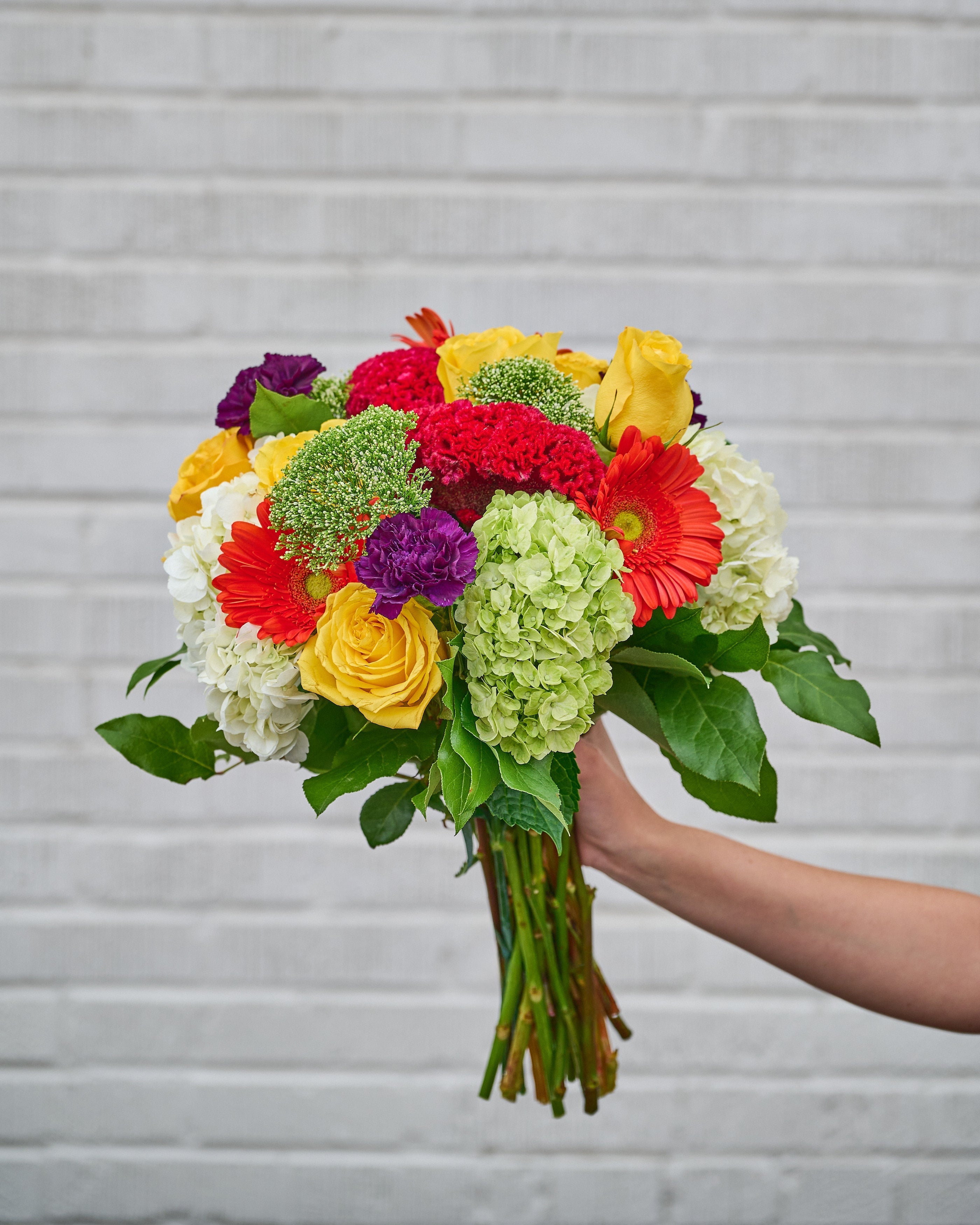 Bright & Colourful - Garrett Florist