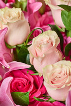 2 Dozen Roses - Garrett Florist