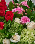 3 Dozen Roses - Garrett Florist