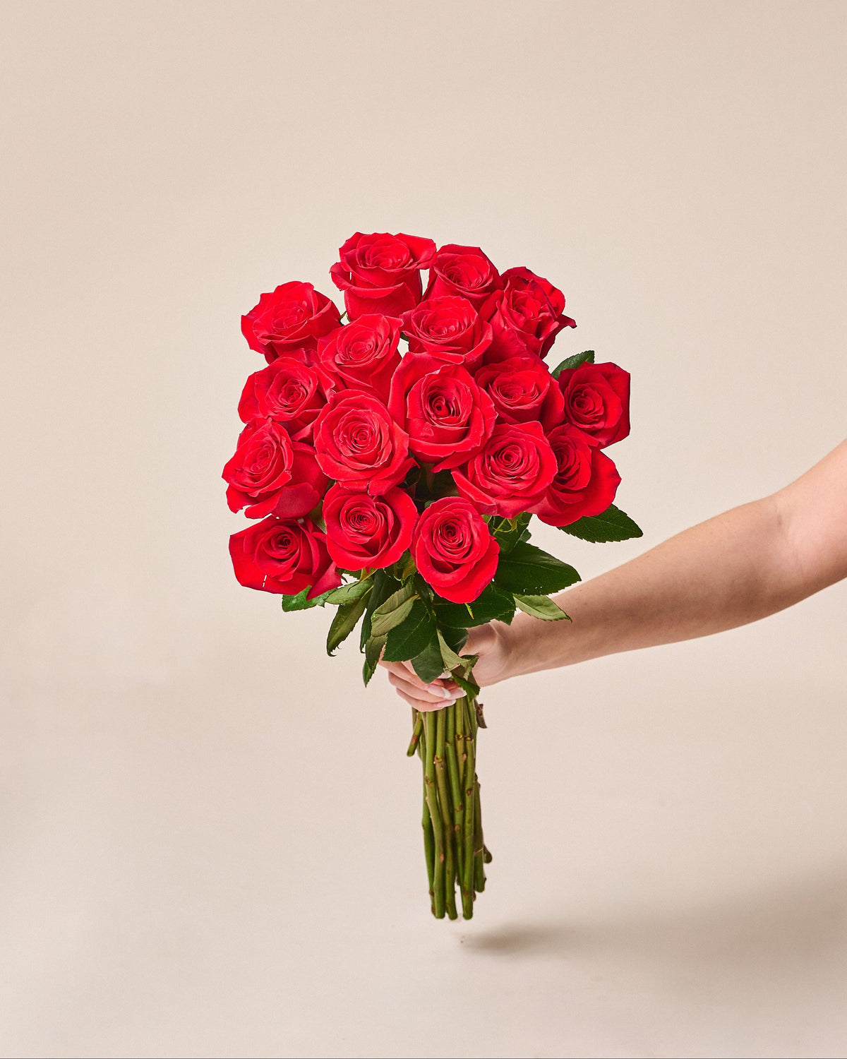 A Dozen Roses - Garrett Florist
