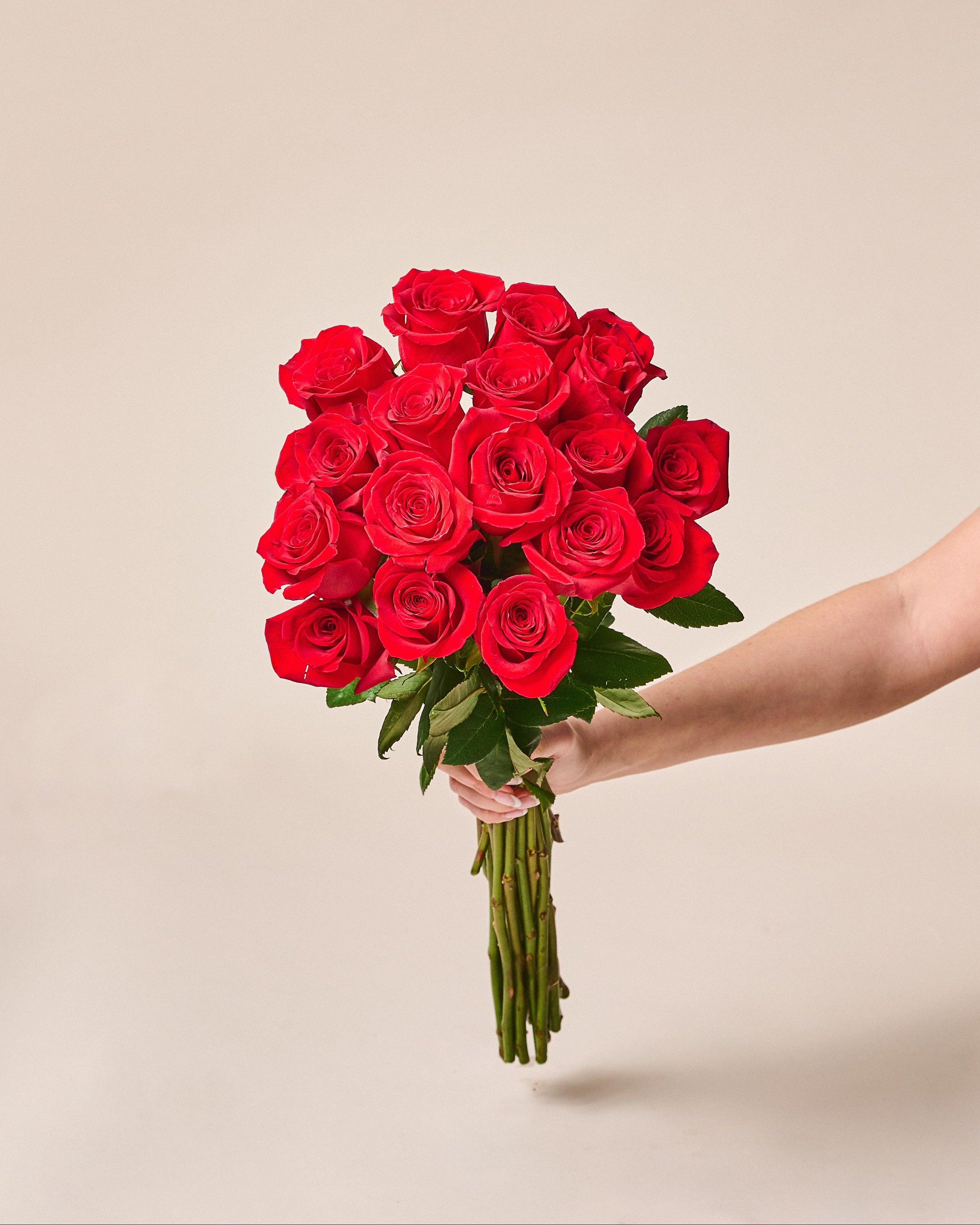 A Dozen Roses - Garrett Florist