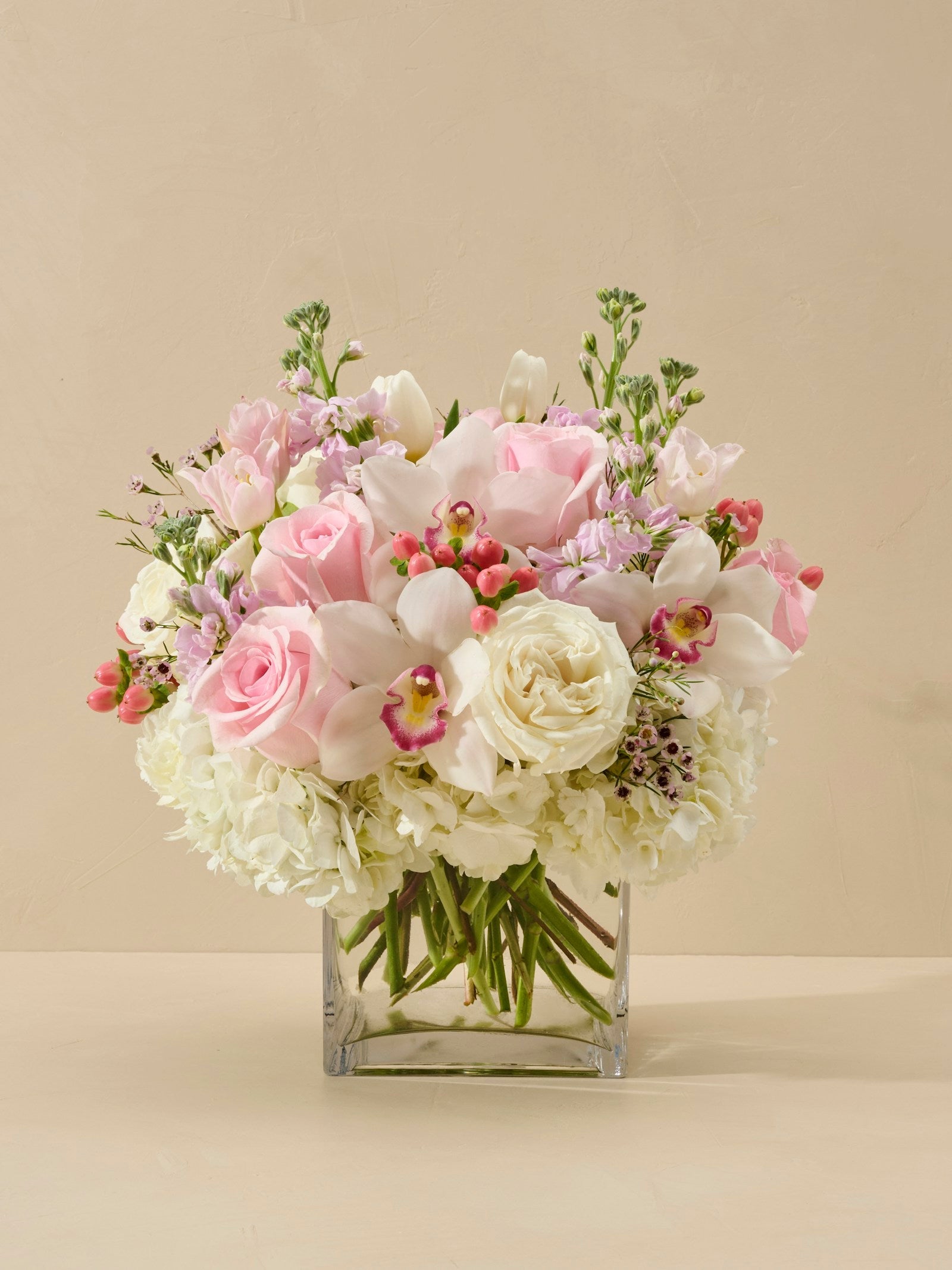 Beyond Beauty (Deluxe Pictured) - Garrett Florist