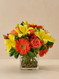 California Sunshine - Garrett Florist