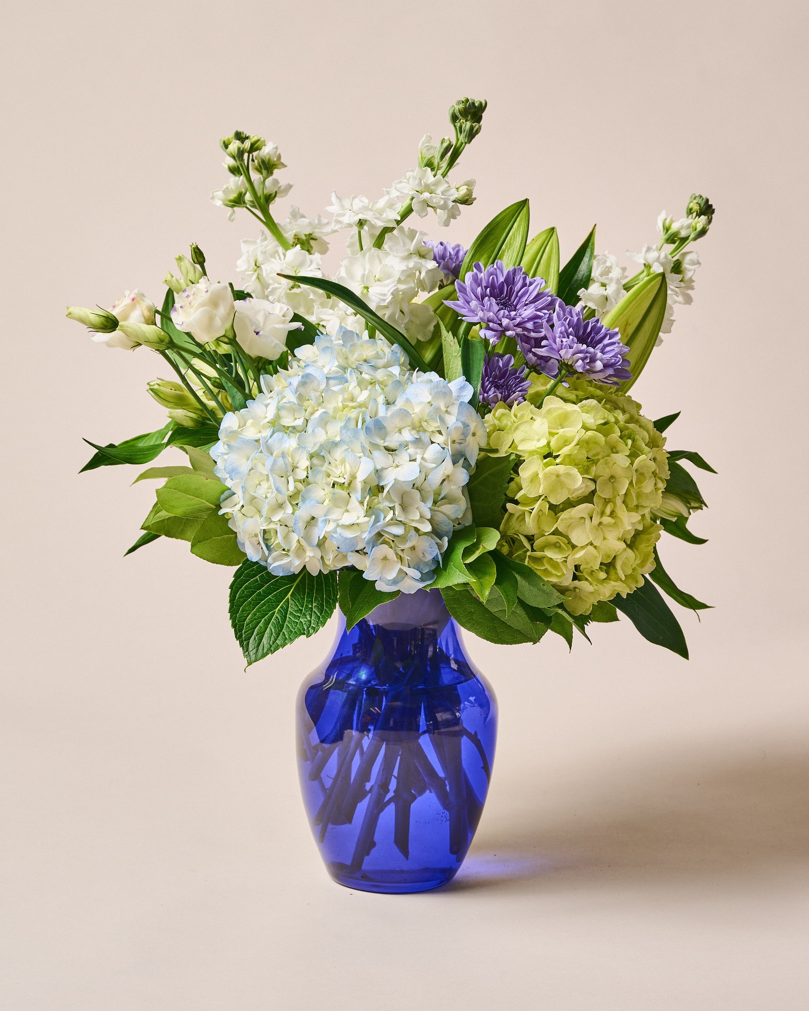 Coastal Breeze - Garrett Florist