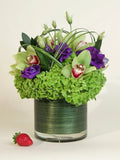 Emerald Cymbidium - Garrett Florist