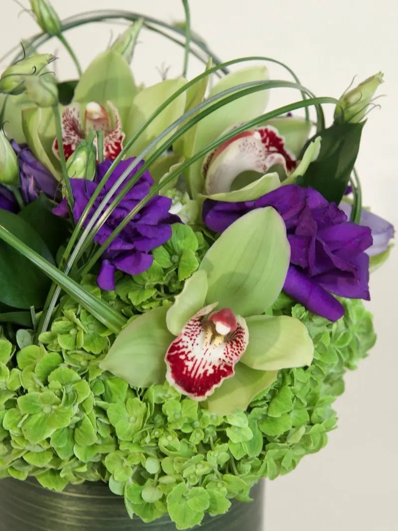 Emerald Cymbidium - Garrett Florist