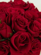 Madly in Love - Garrett Florist