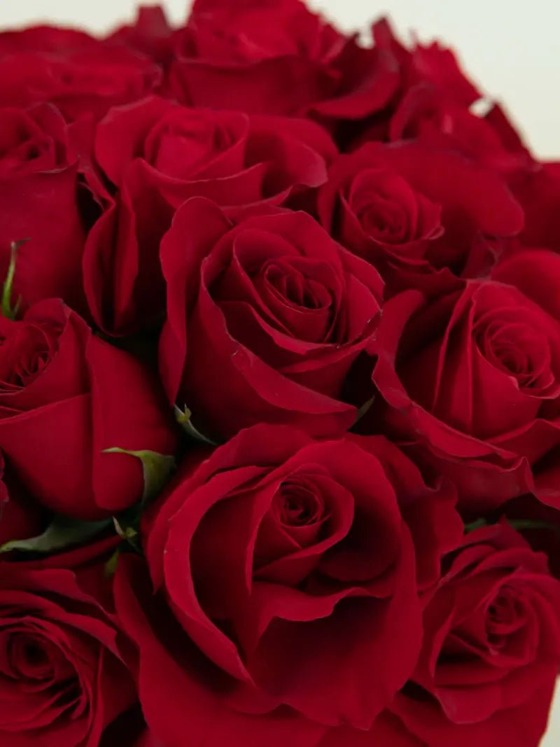 Madly in Love - Garrett Florist