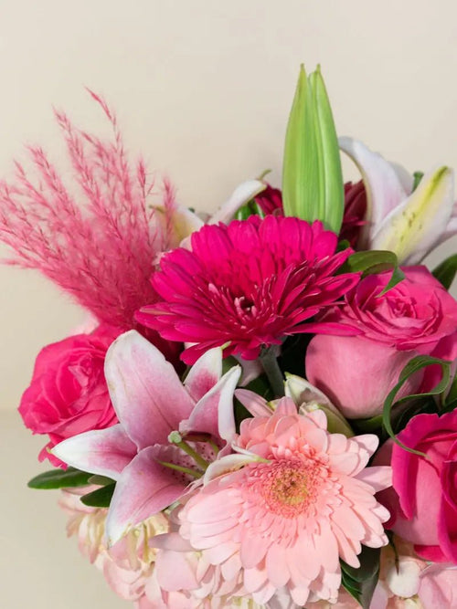 Pink Pop - Garrett Florist