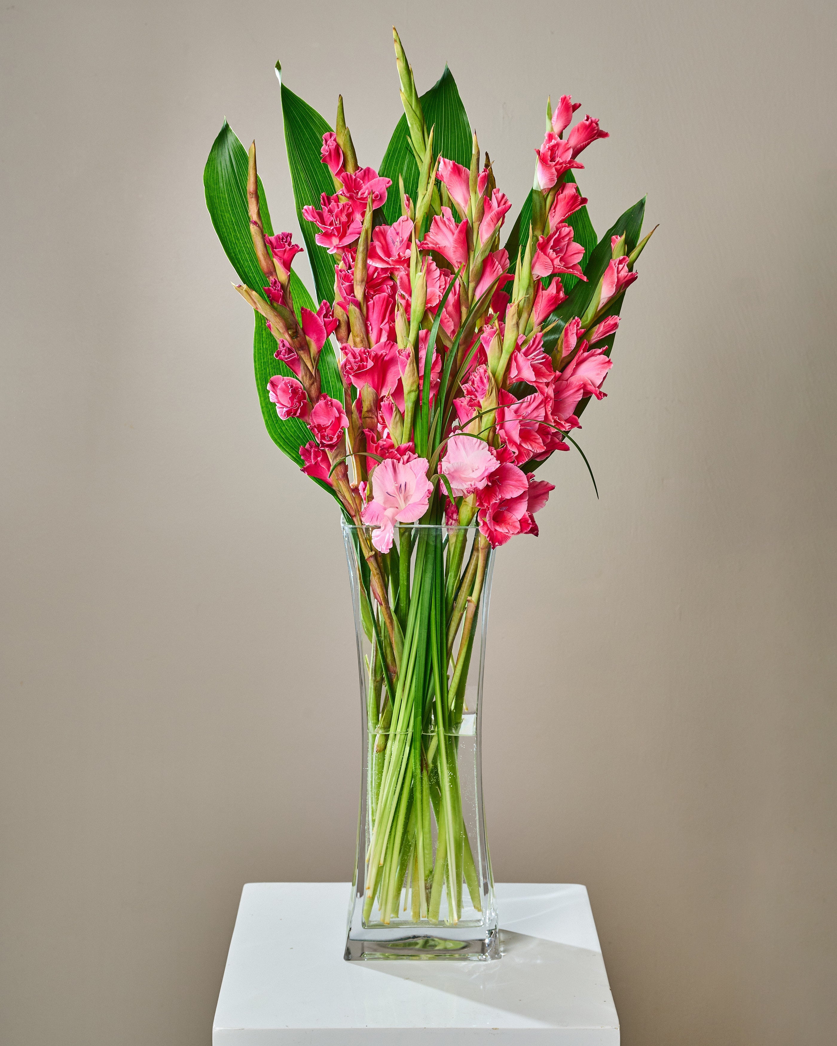 The Pink Print - Garrett Florist