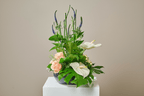 Tropical Tides - Garrett Florist